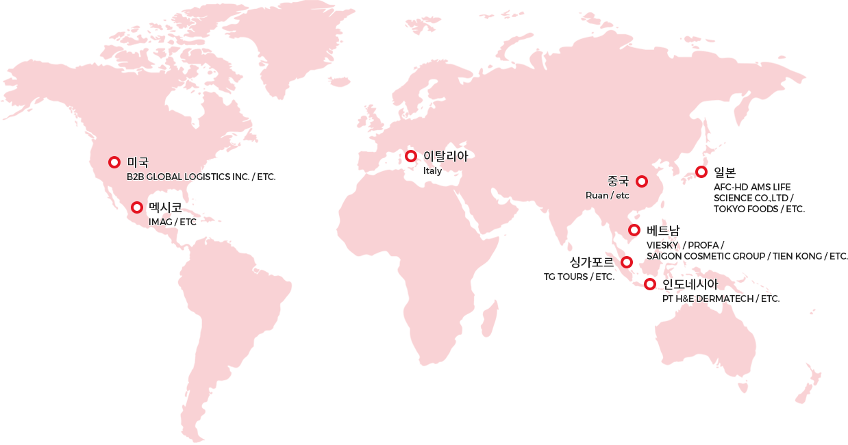하나마이 글로벌 지도